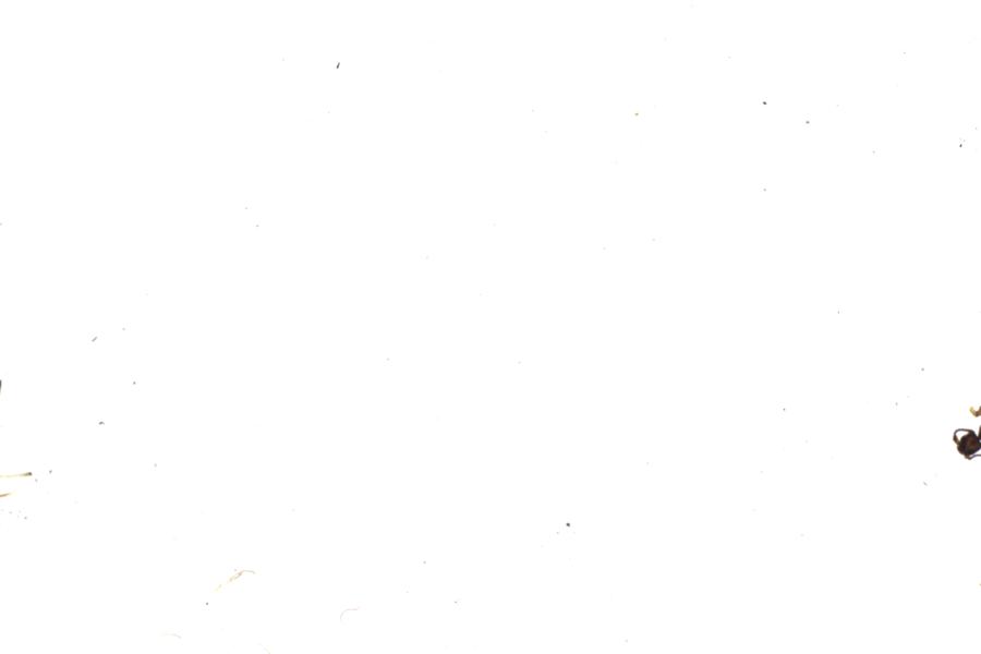 Image 48